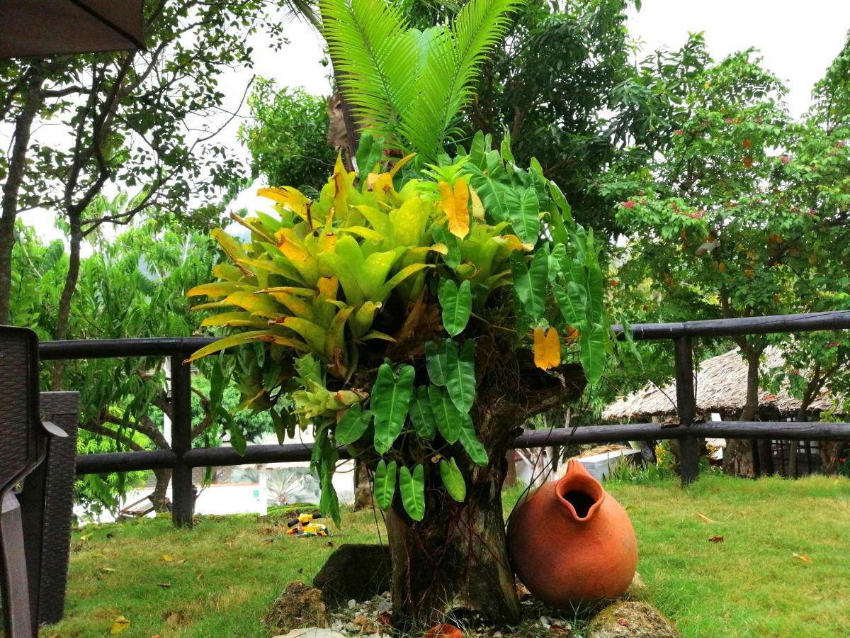 Villa Cata Hotel เอลไซโน ภายนอก รูปภาพ