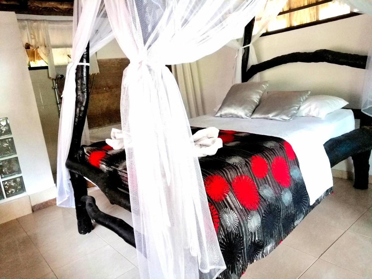 Villa Cata Hotel เอลไซโน ภายนอก รูปภาพ