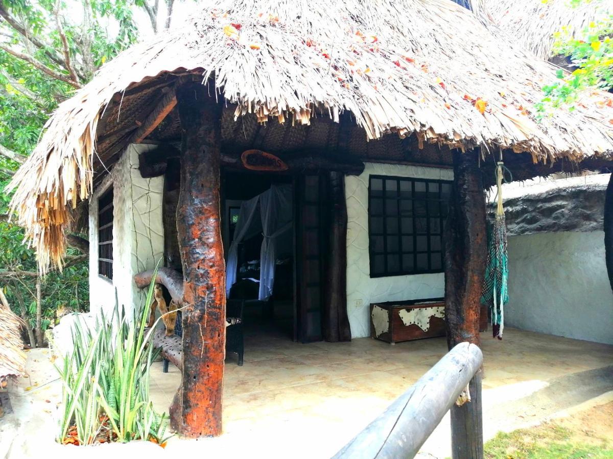 Villa Cata Hotel เอลไซโน ภายนอก รูปภาพ