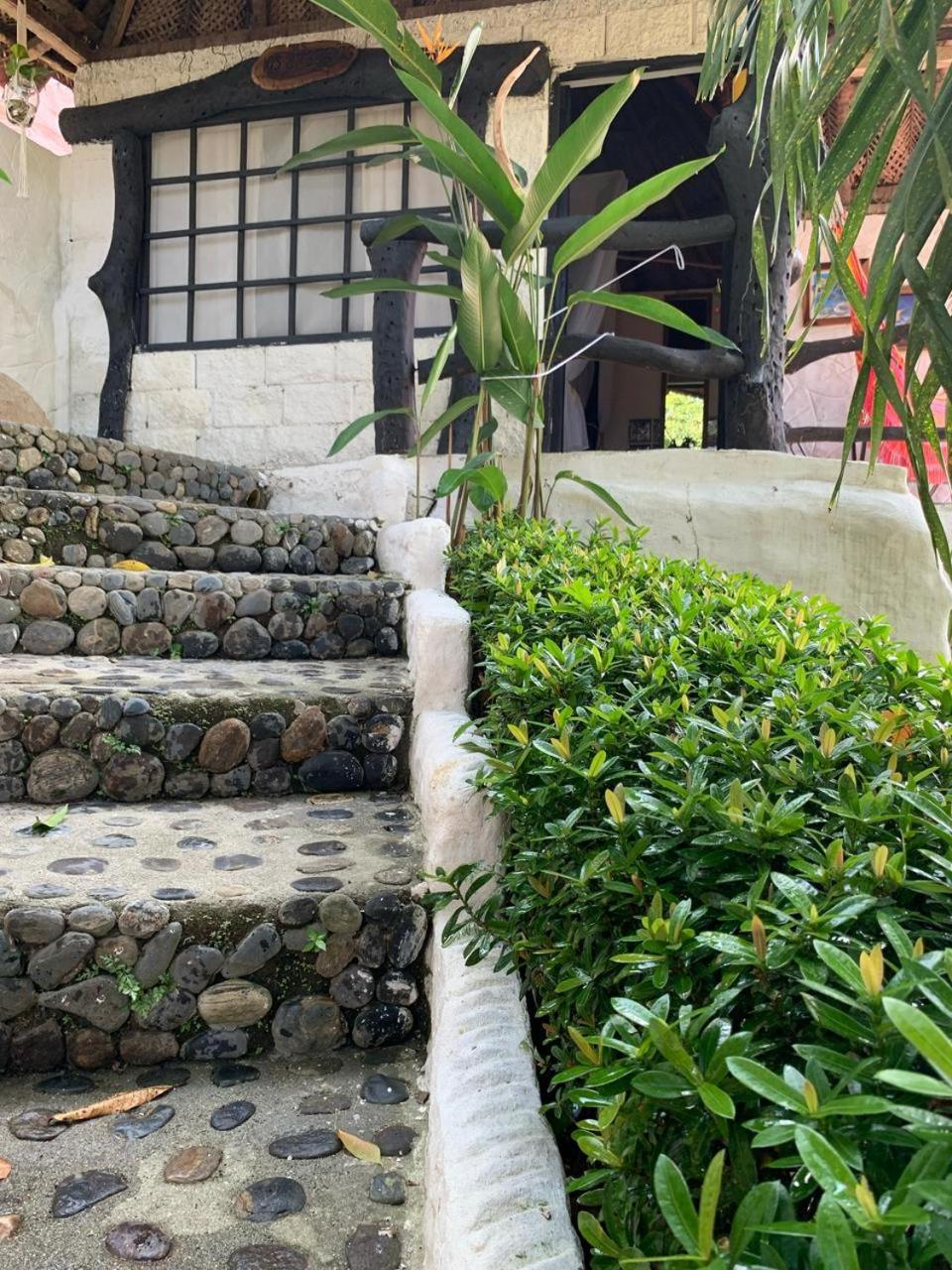 Villa Cata Hotel เอลไซโน ภายนอก รูปภาพ
