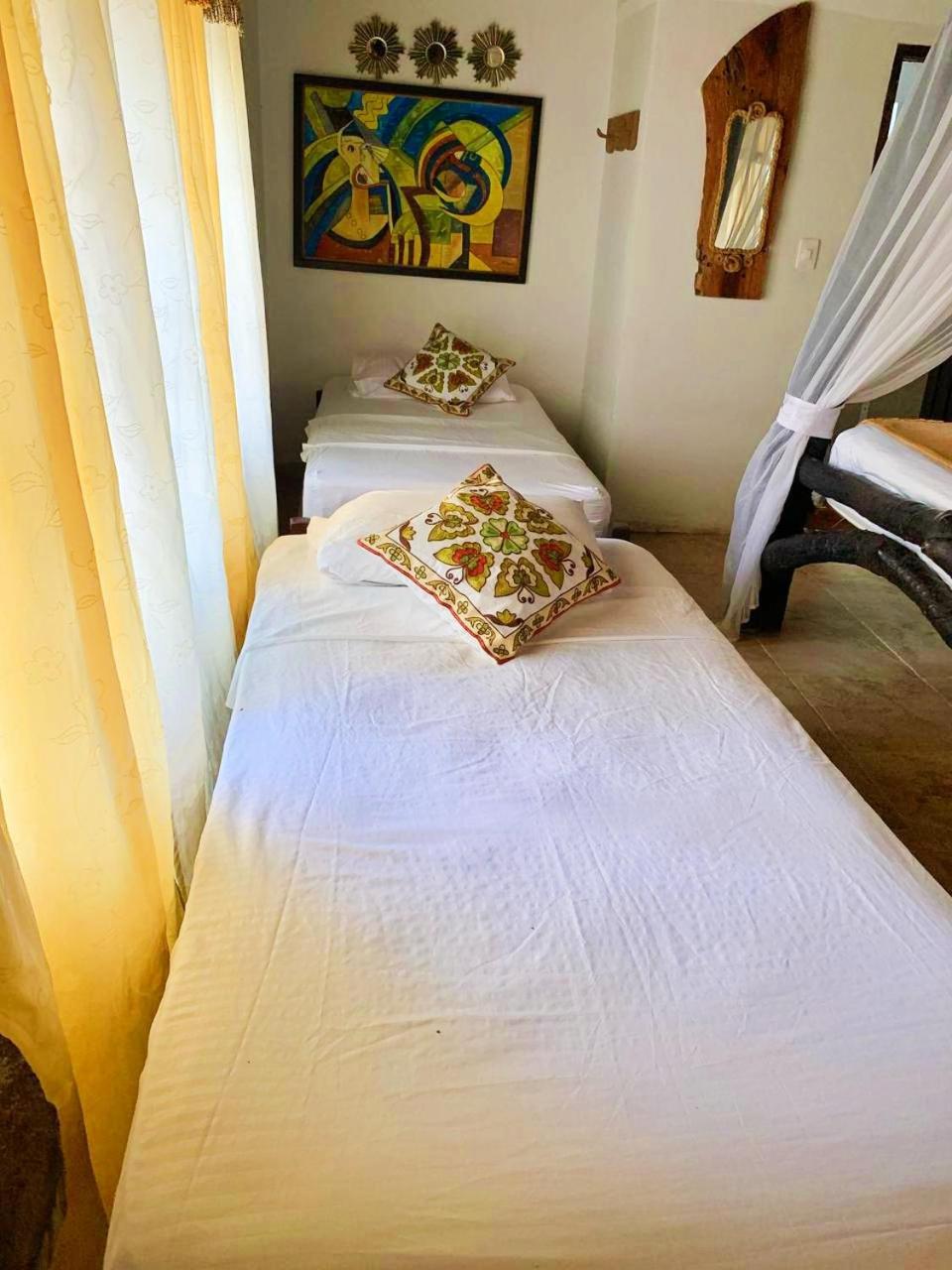 Villa Cata Hotel เอลไซโน ภายนอก รูปภาพ