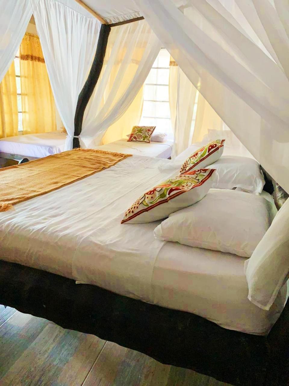 Villa Cata Hotel เอลไซโน ภายนอก รูปภาพ