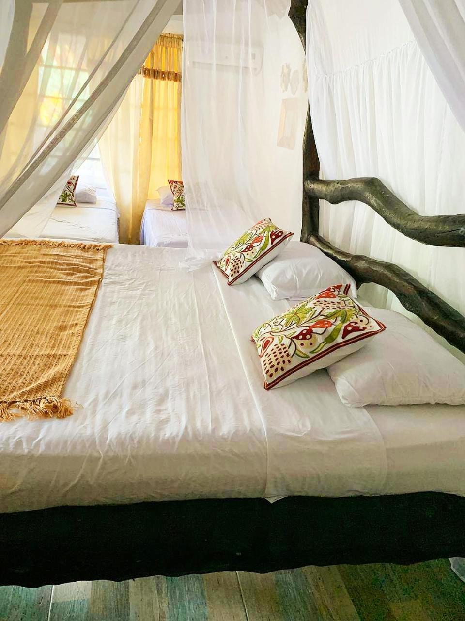 Villa Cata Hotel เอลไซโน ภายนอก รูปภาพ