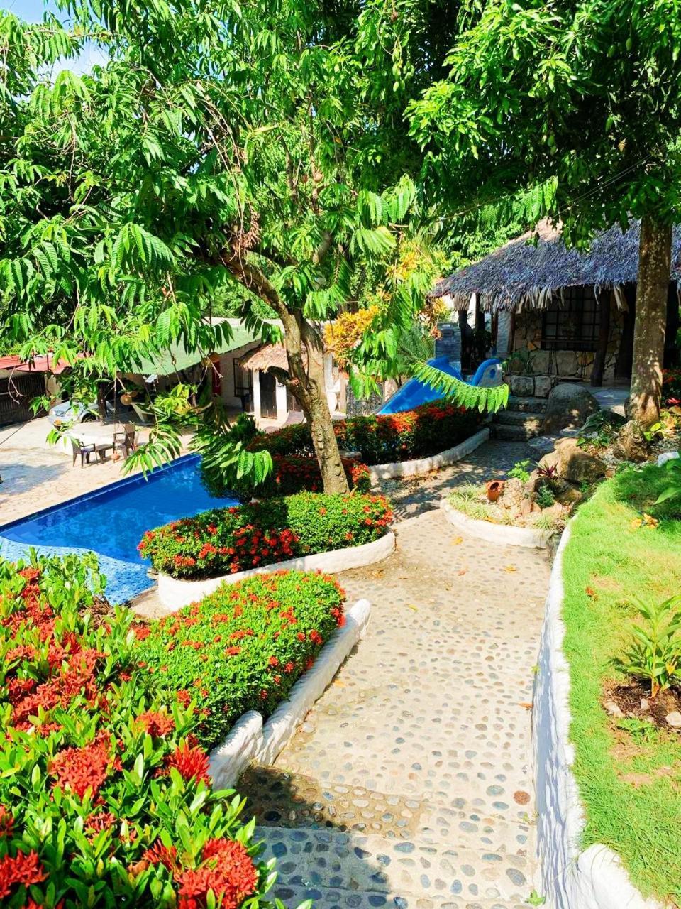 Villa Cata Hotel เอลไซโน ภายนอก รูปภาพ